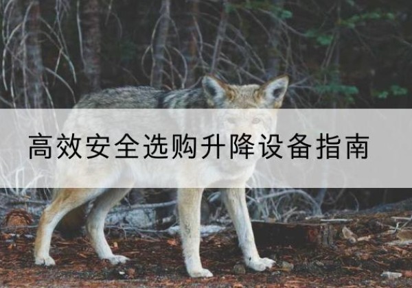 宜昌升降货梯厂家推荐-*安全选购升降设备指南