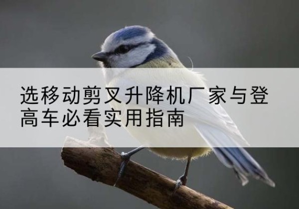 宜昌电动升降机厂家-选移动剪叉升降机厂家与登高车必看实用指南