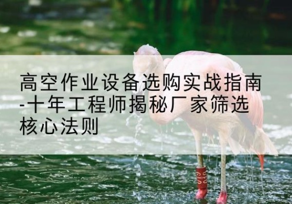 宜昌剪叉式升降机厂家-高空作业设备选购实战指南-十年工程师揭秘厂家筛选核心法则